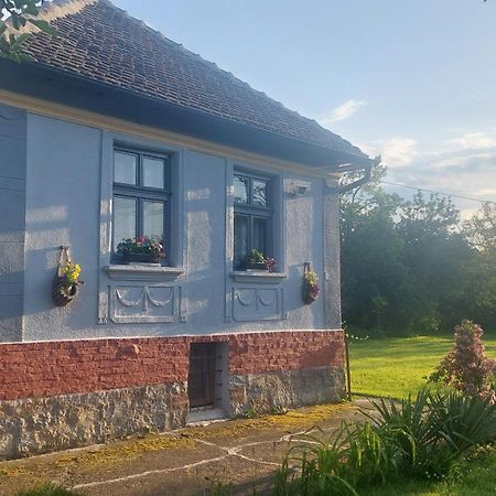 Apartmani Petkovic 226 Velika Drenova Luaran gambar