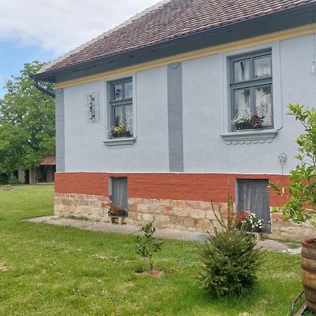 Apartmani Petkovic 226 Velika Drenova Luaran gambar