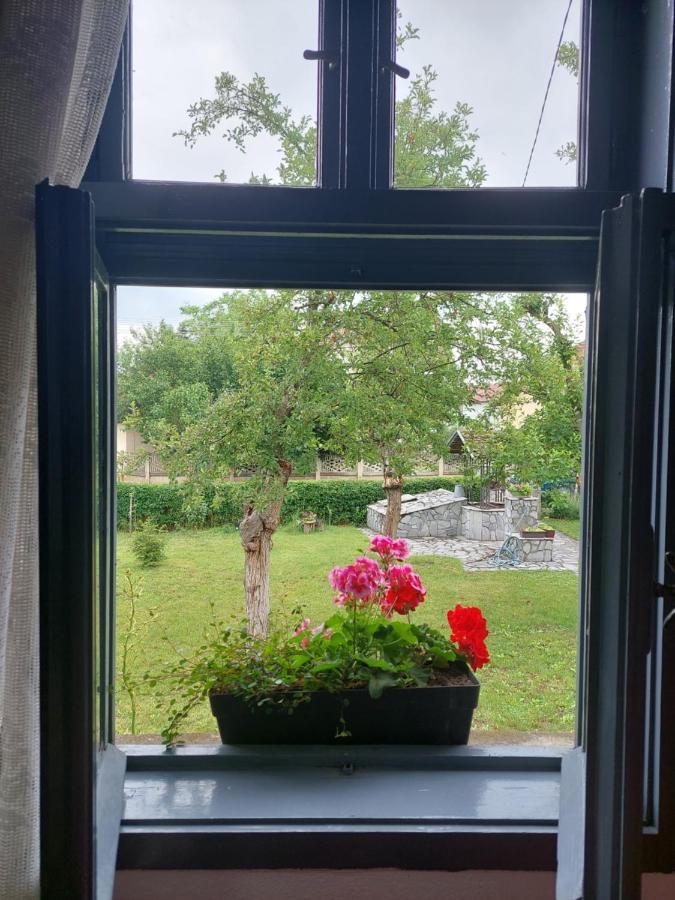Apartmani Petkovic 226 Velika Drenova Luaran gambar