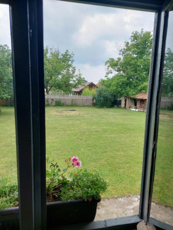 Apartmani Petkovic 226 Velika Drenova Luaran gambar
