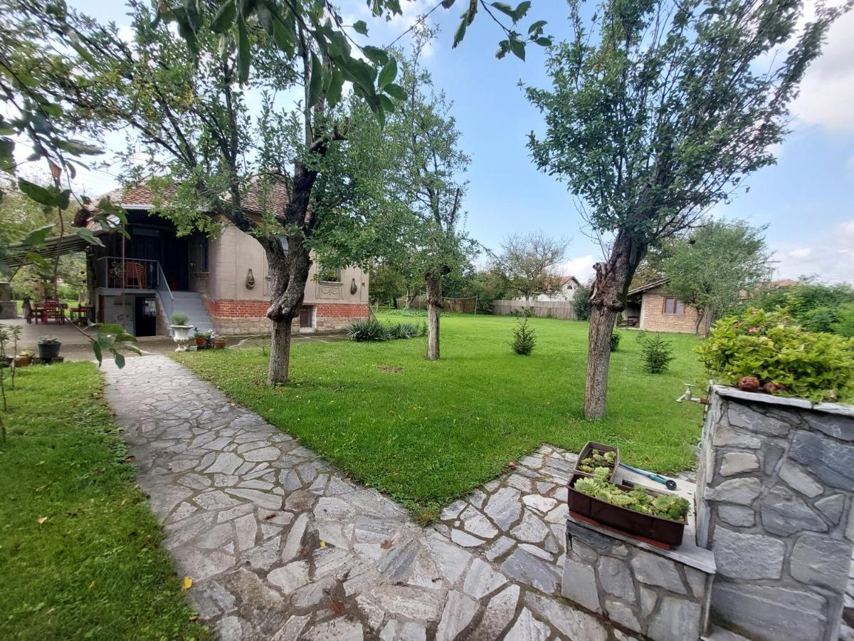 Apartmani Petkovic 226 Velika Drenova Luaran gambar
