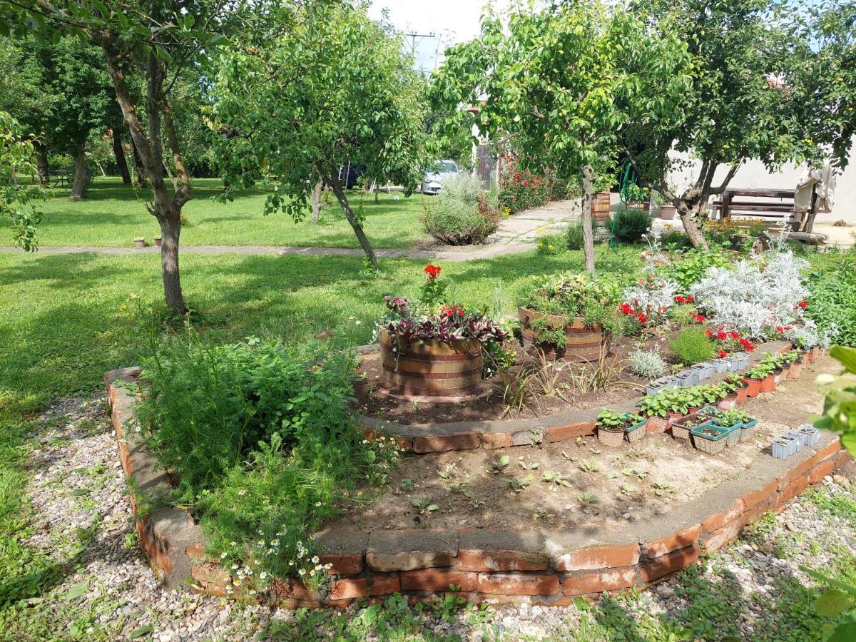 Apartmani Petkovic 226 Velika Drenova Luaran gambar